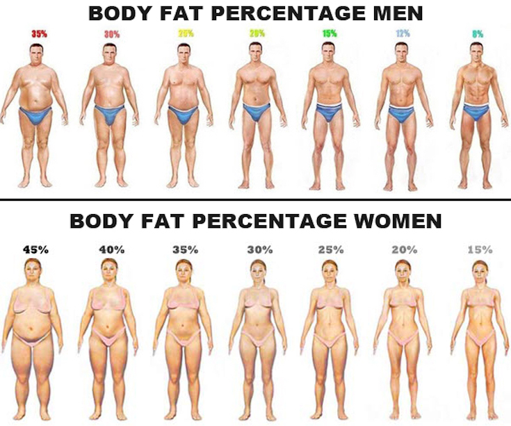 Body Fat Percentage, Not Body Mass Index